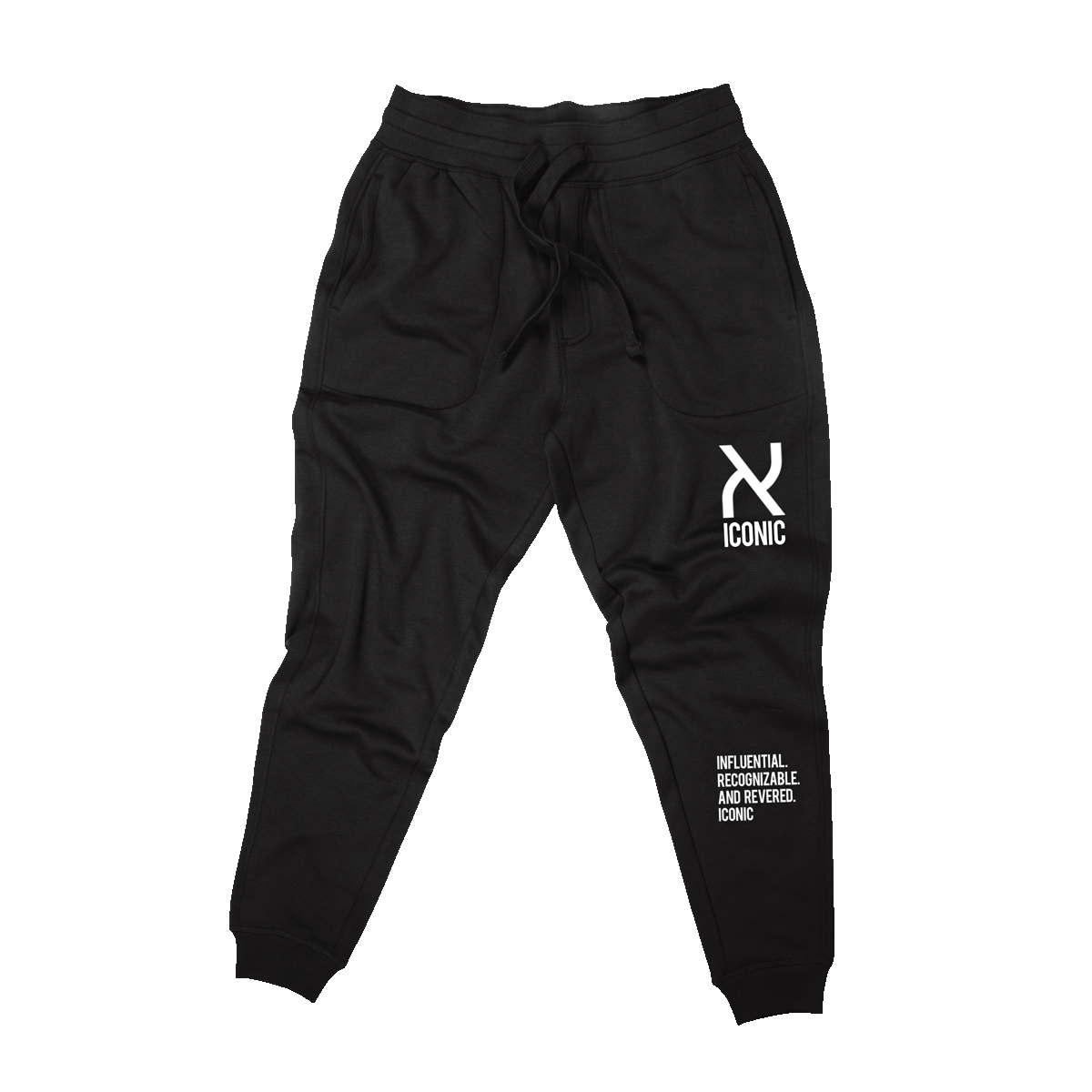 ICONIC BASIC JOGGER image 2